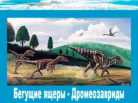 Открытки